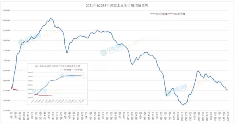 最新玉米大豆行情速览