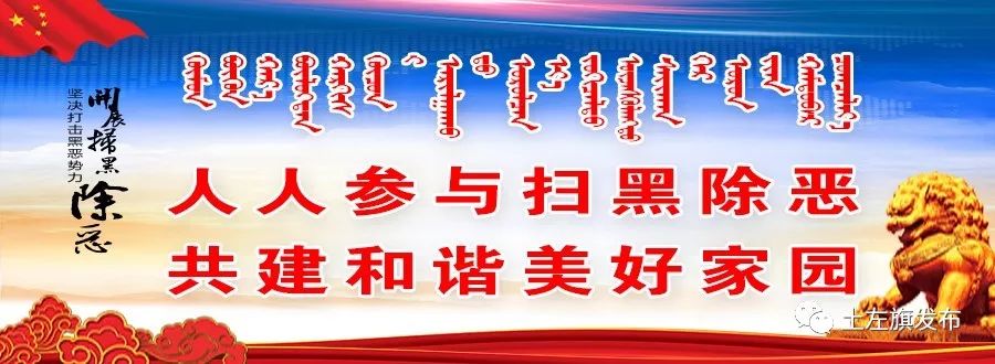 最新动态：共建和谐，共筑美好家园——扫黑除恶新篇章