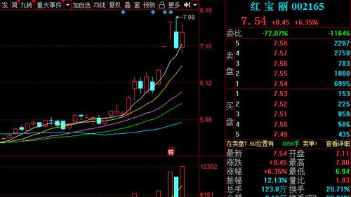 红宝丽最新资讯