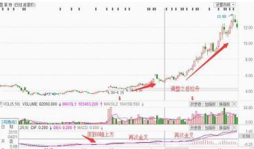 雪莱特股价动态：最新资讯速递揭晓